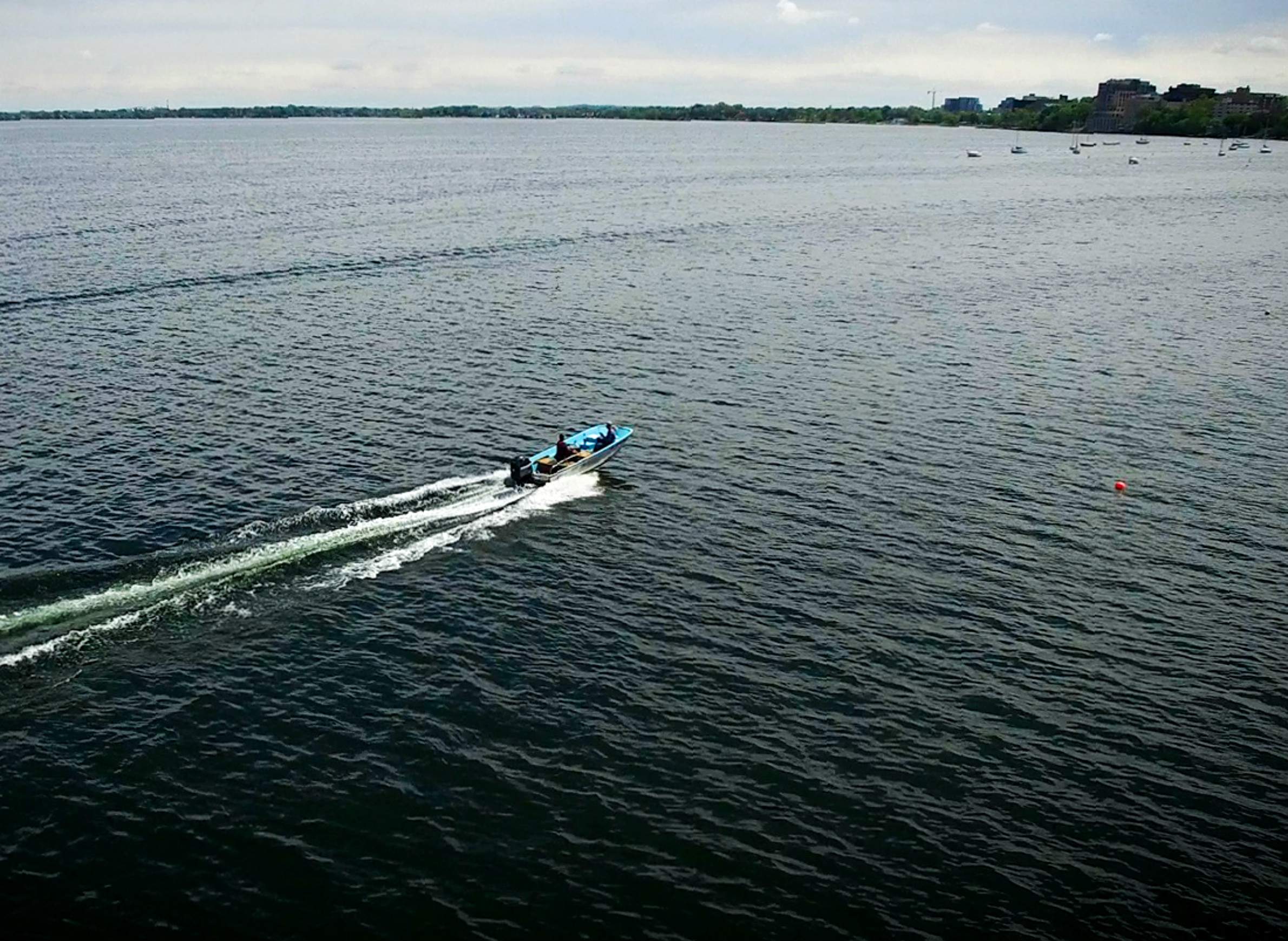 Early Detectors: A Summer of Mussel Monitoring - Invasive Species