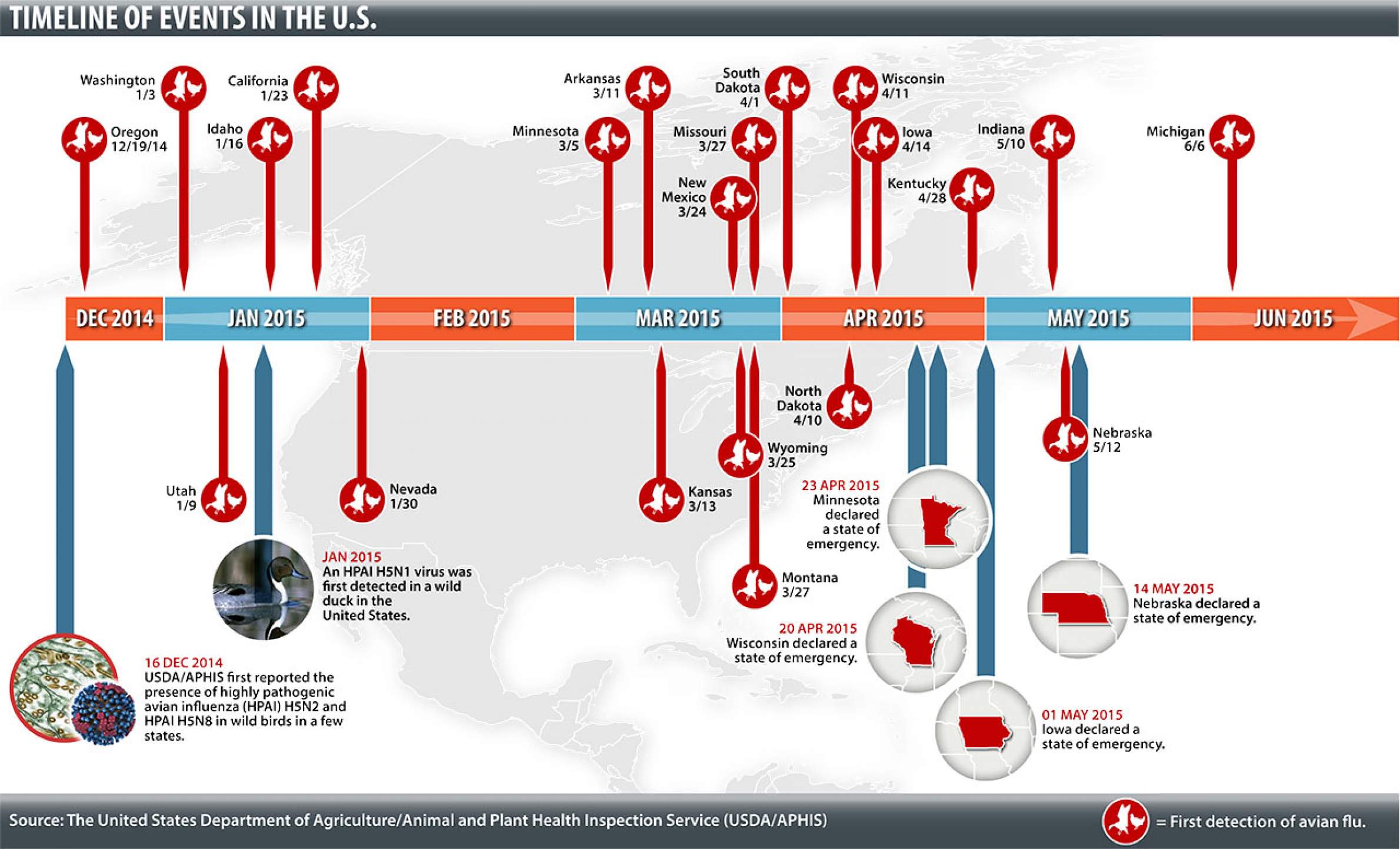 Understanding The 2015 Wisconsin Avian Flu Epidemic: The U.S. Outbreak ...