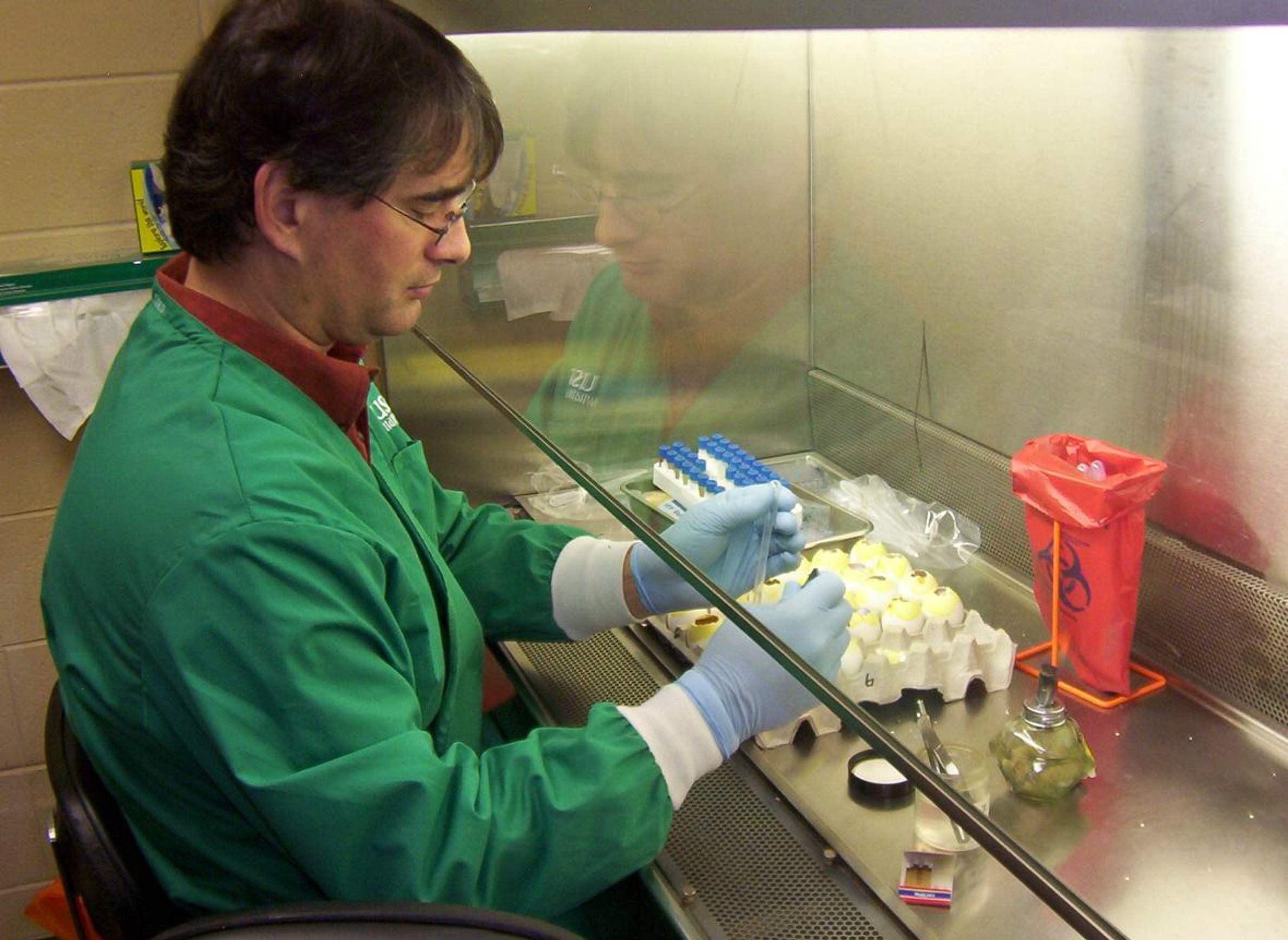 avian flu testing