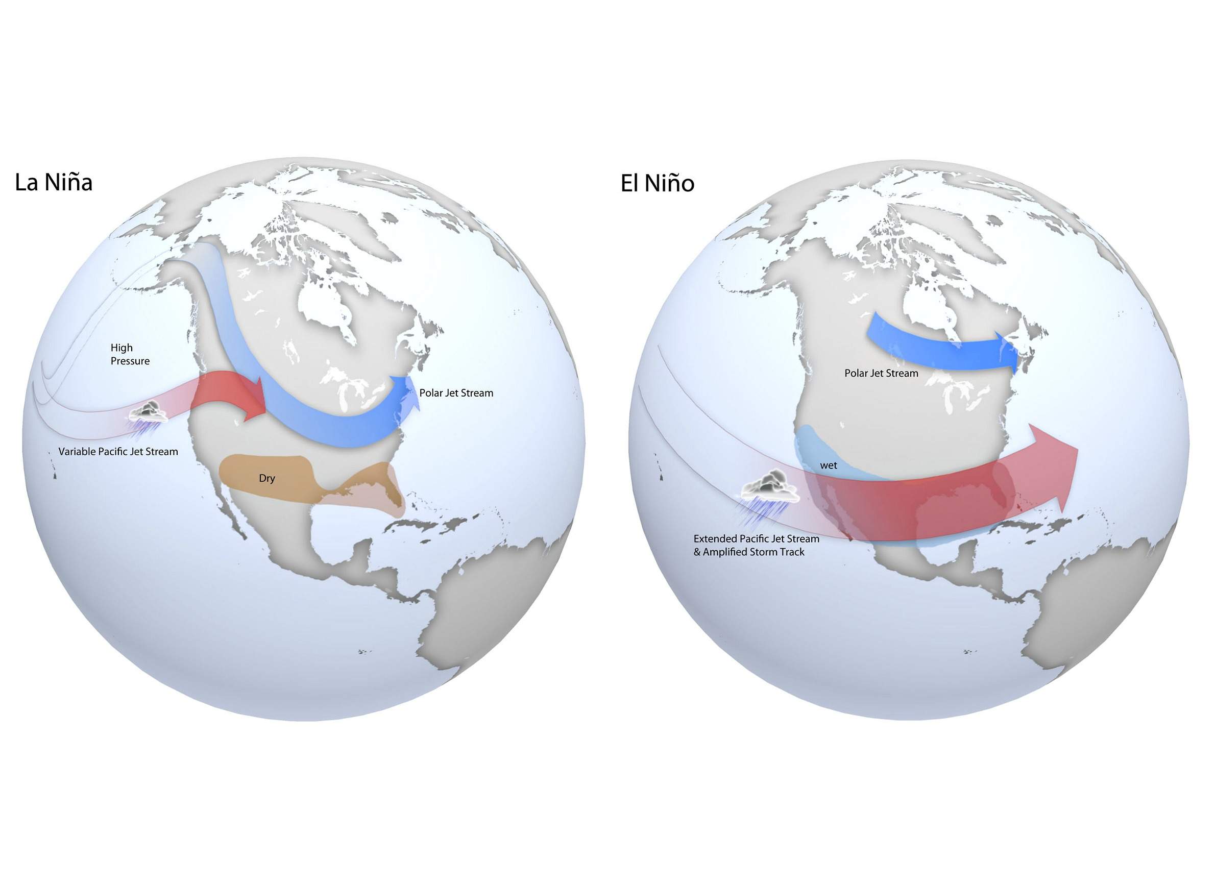 ENSO cycle map