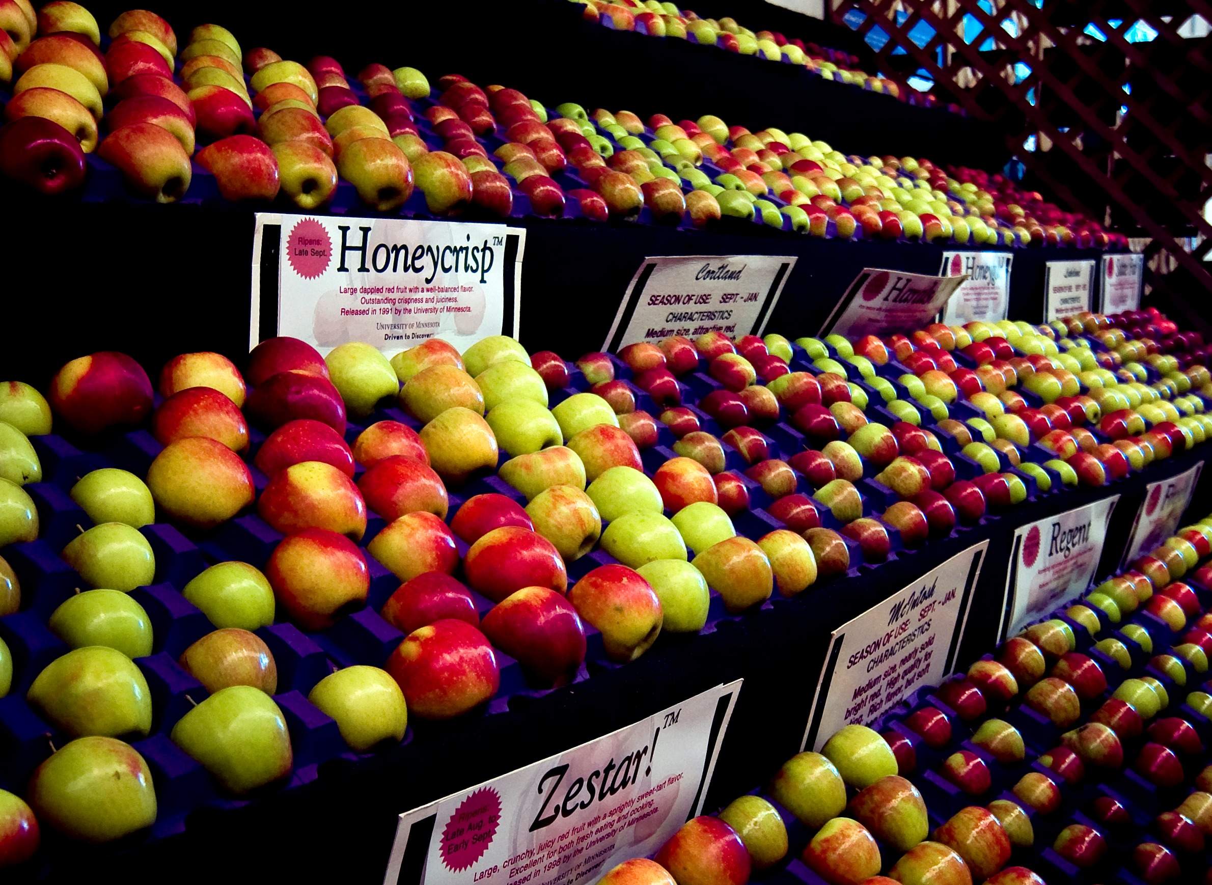 Shopper feedback strong on SweeTango variety apples