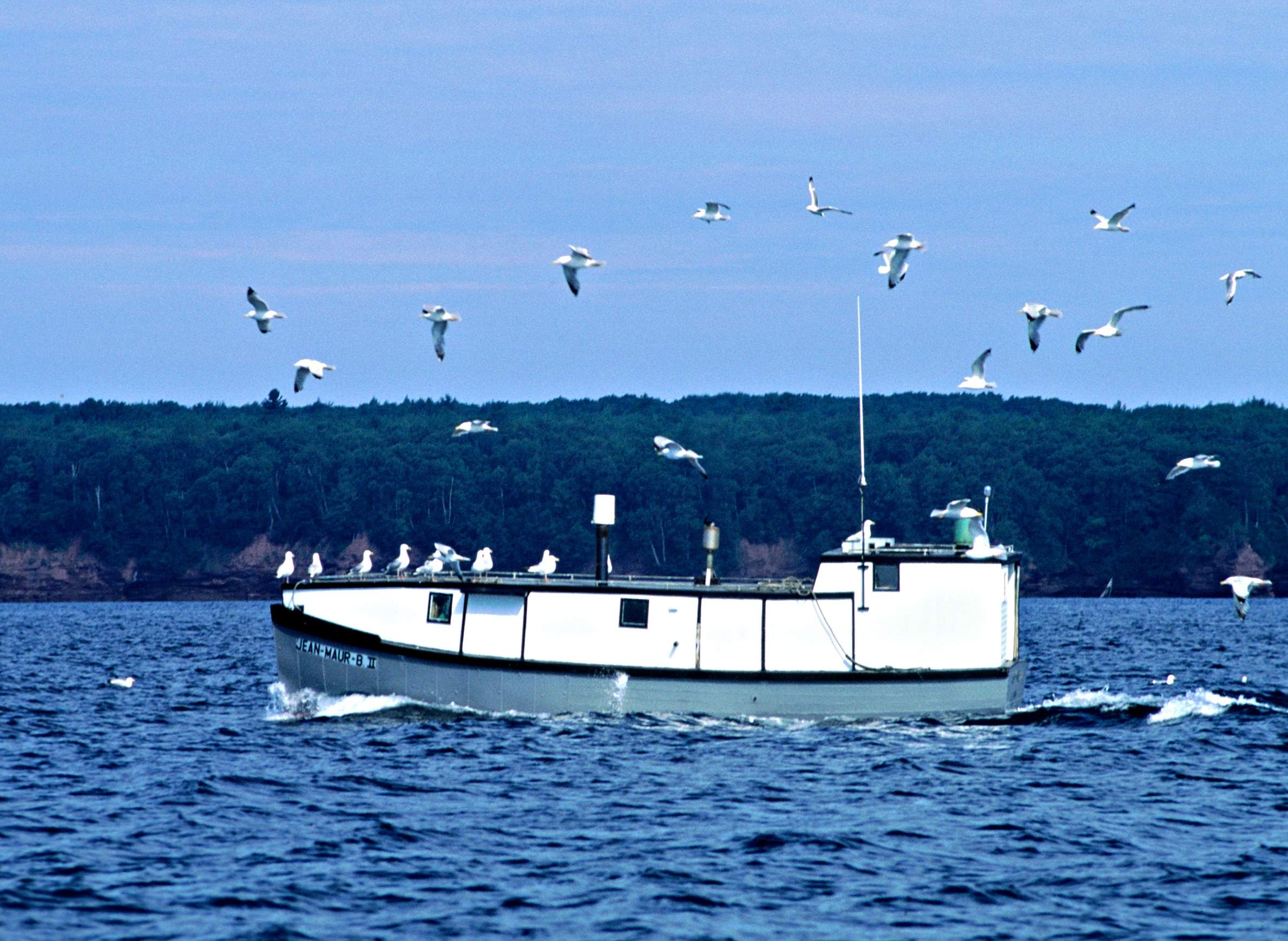 State Commercial Fishers Buck DNR's Proposed Limits On Cisco
